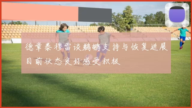 德章泰穆雷谈鹈鹕支持与恢复进展目前状态良好感受积极