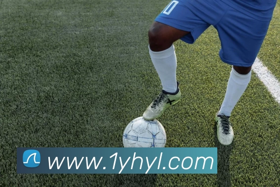 银河娱乐城官网APP 封面图